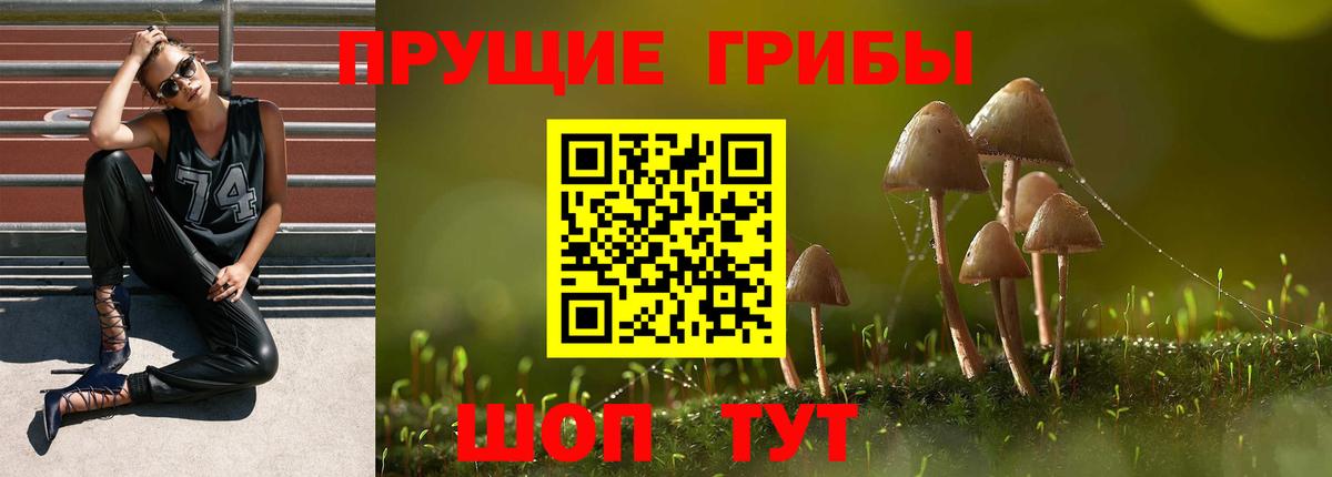Серпухов  Псилоцибиновые грибы мухоморы  Вход с VPN 